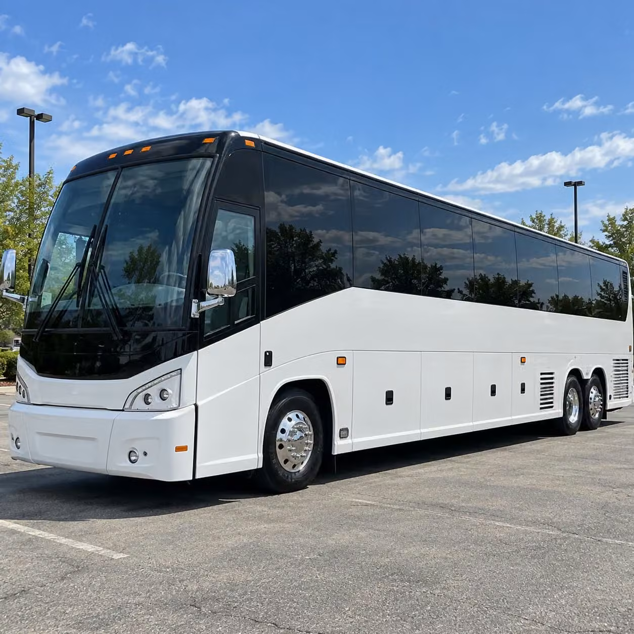whatever your prom night looks like in billings there s a bus in the network ready for it